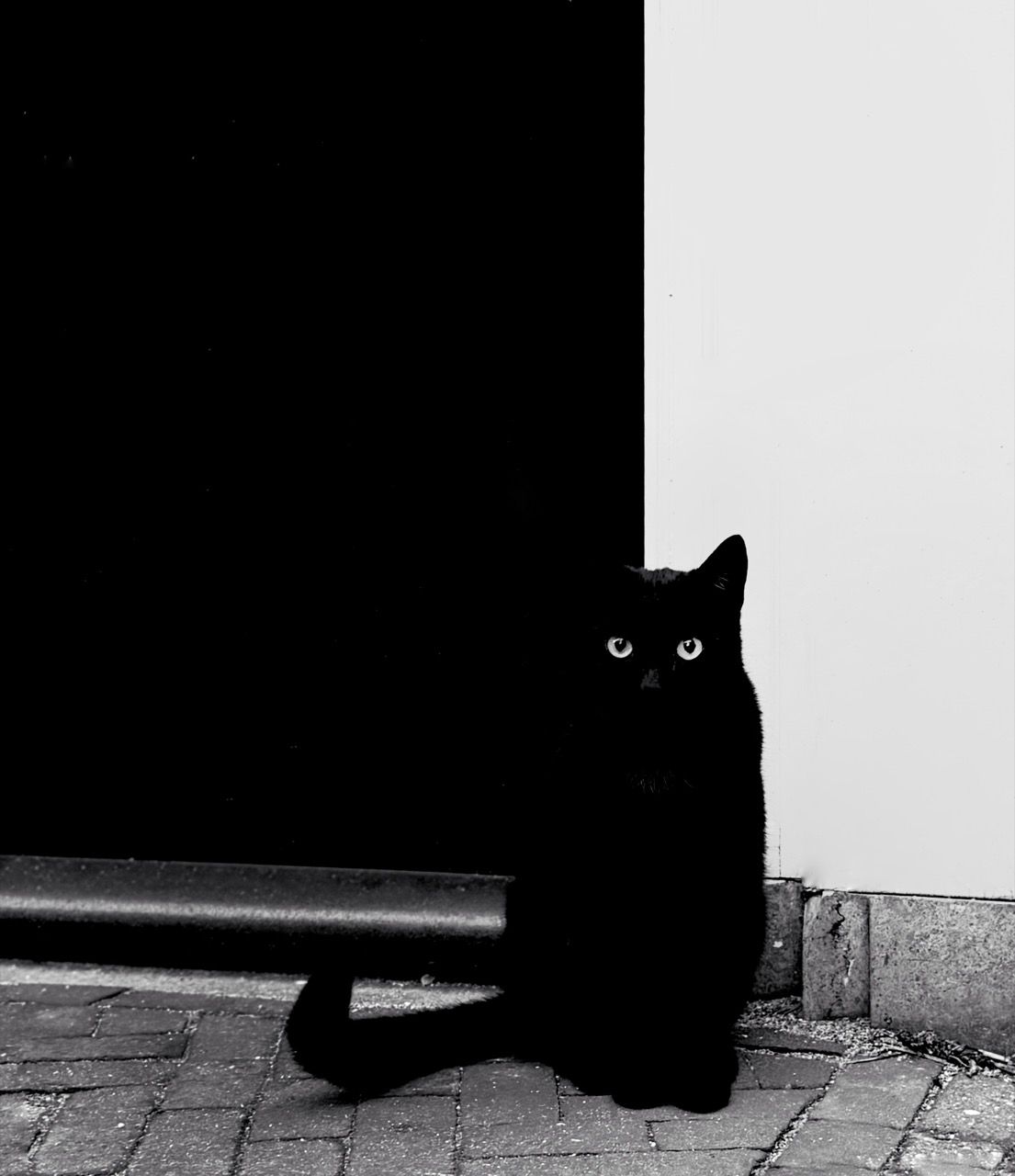 A photograph of a black cat sitting on the street, looking at the camera. The cat is neatly bisected by the partition behind him between a white wall and a black doorway