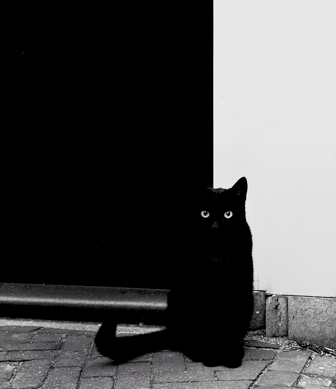 A photograph of a black cat sitting on the street, looking at the camera. The cat is neatly bisected by the partition behind him between a white wall and a black doorway