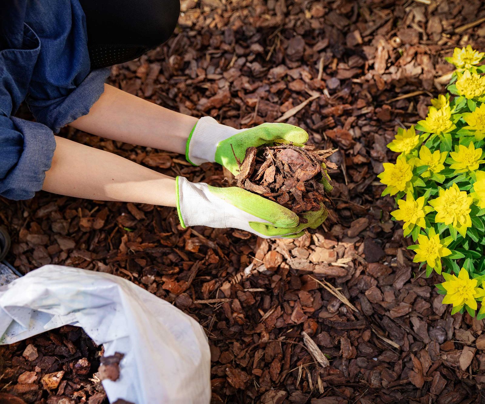 How to kill weeds not plants: expert advice | Homes & Gardens