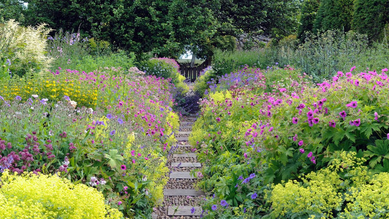 stepping stone ideas: pathway through flowing borders