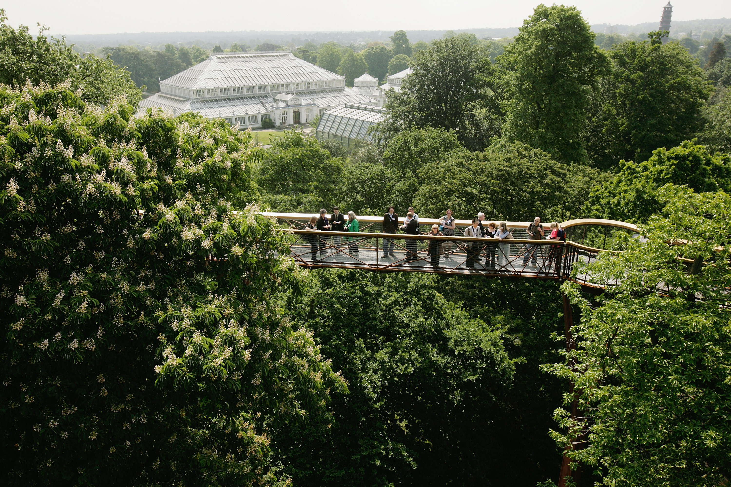 LONDON - MAY 22: People walk along the Xstrata Treetop Walkway at Kew Gardens on May 22, 2008 in London, England. The 18m high Xstrata Treetop Walkway and the Rhizotron, which gives a unique opportunity for for visitors to view a tree's root system from underground, is part of Kew's summer festival and will open on the May 24 to the public.