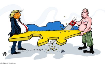 5 exclusive cartoons about Trump and Putin negotiating peace | The Week
