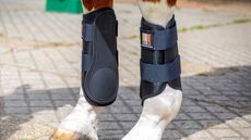 type of horse boots