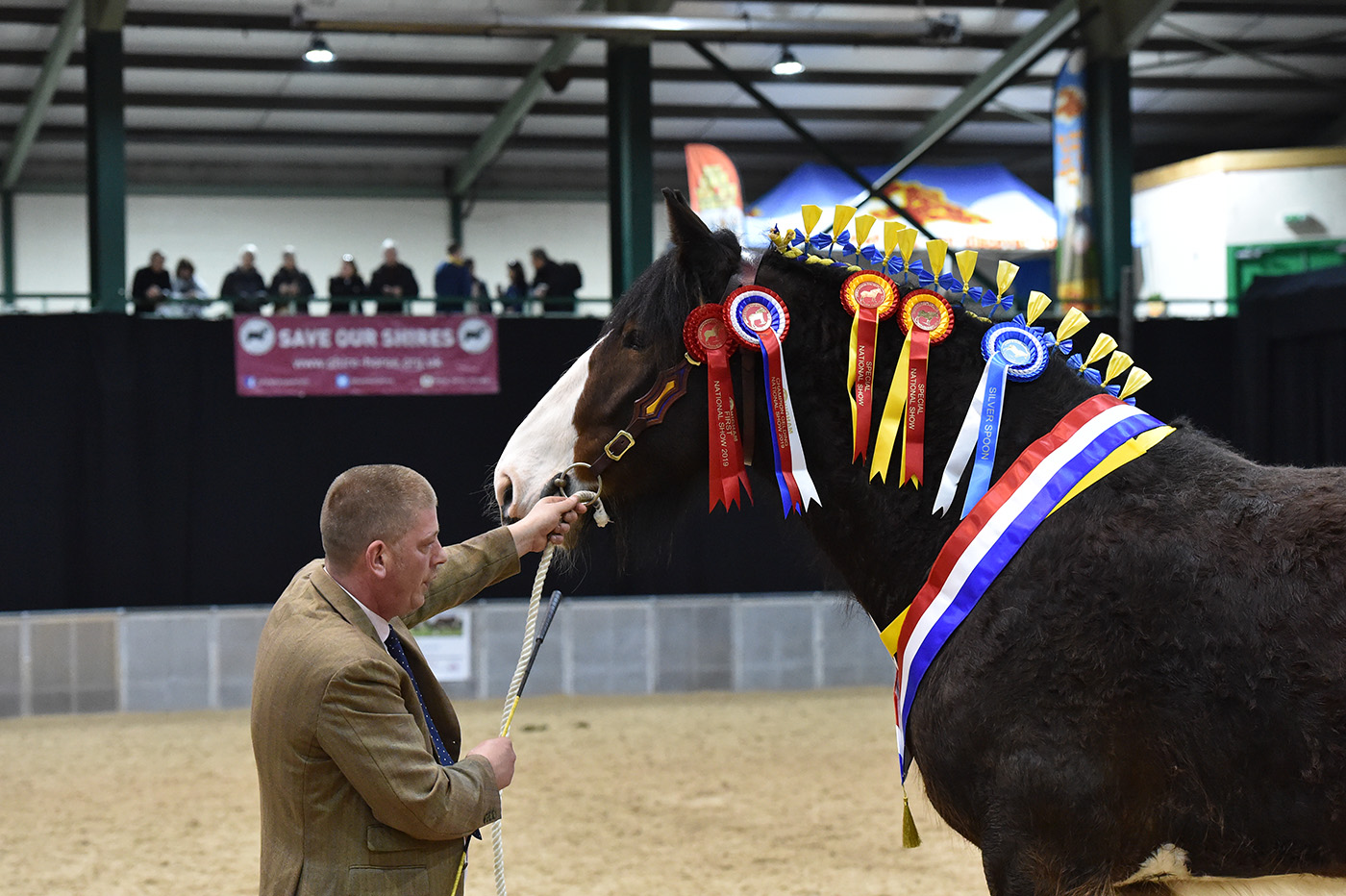 National Shire Show pics 2019