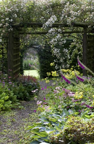 how to plan a cottage garden path through a hedge