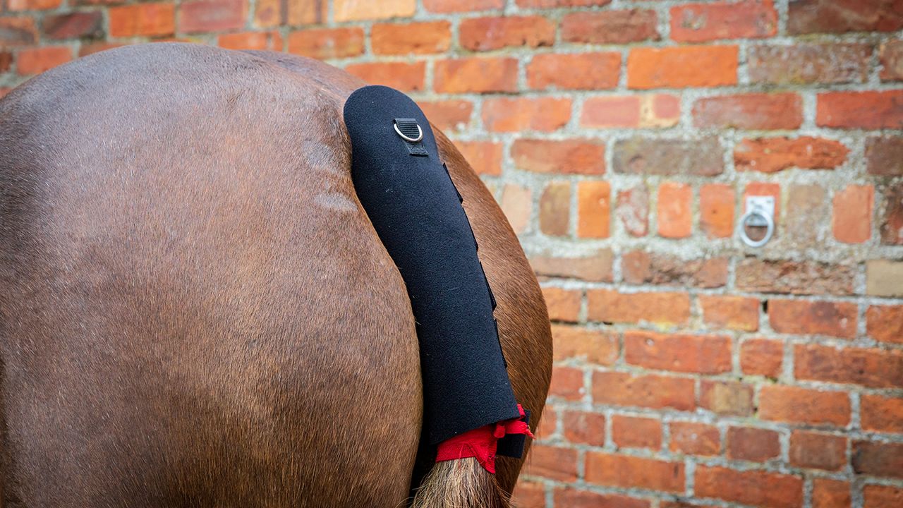 Eskadron tail guard