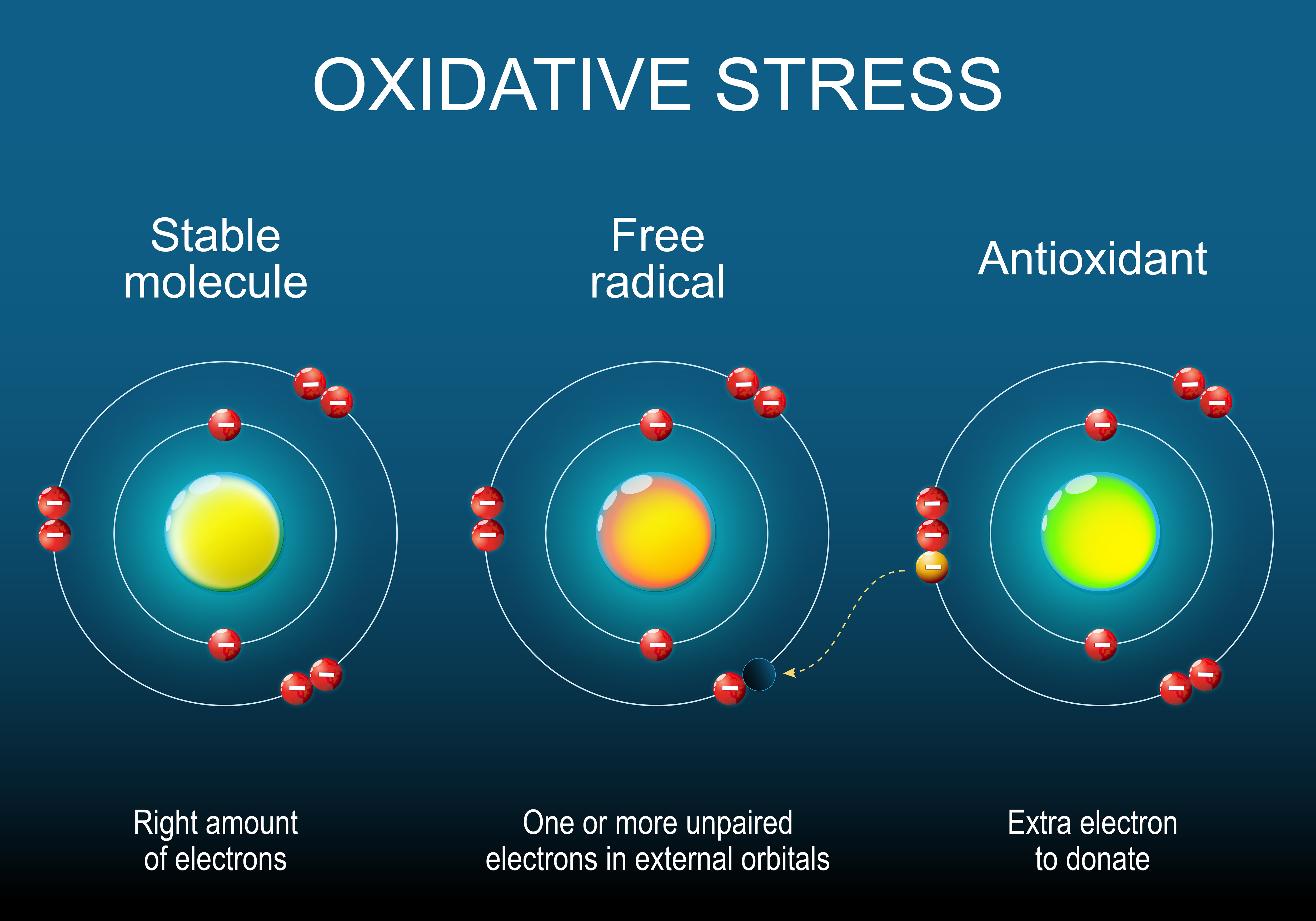 a diagram showing the molecular structure of a stable molecule, a free radical, and an antioxidant