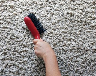 person cleaning a carpet