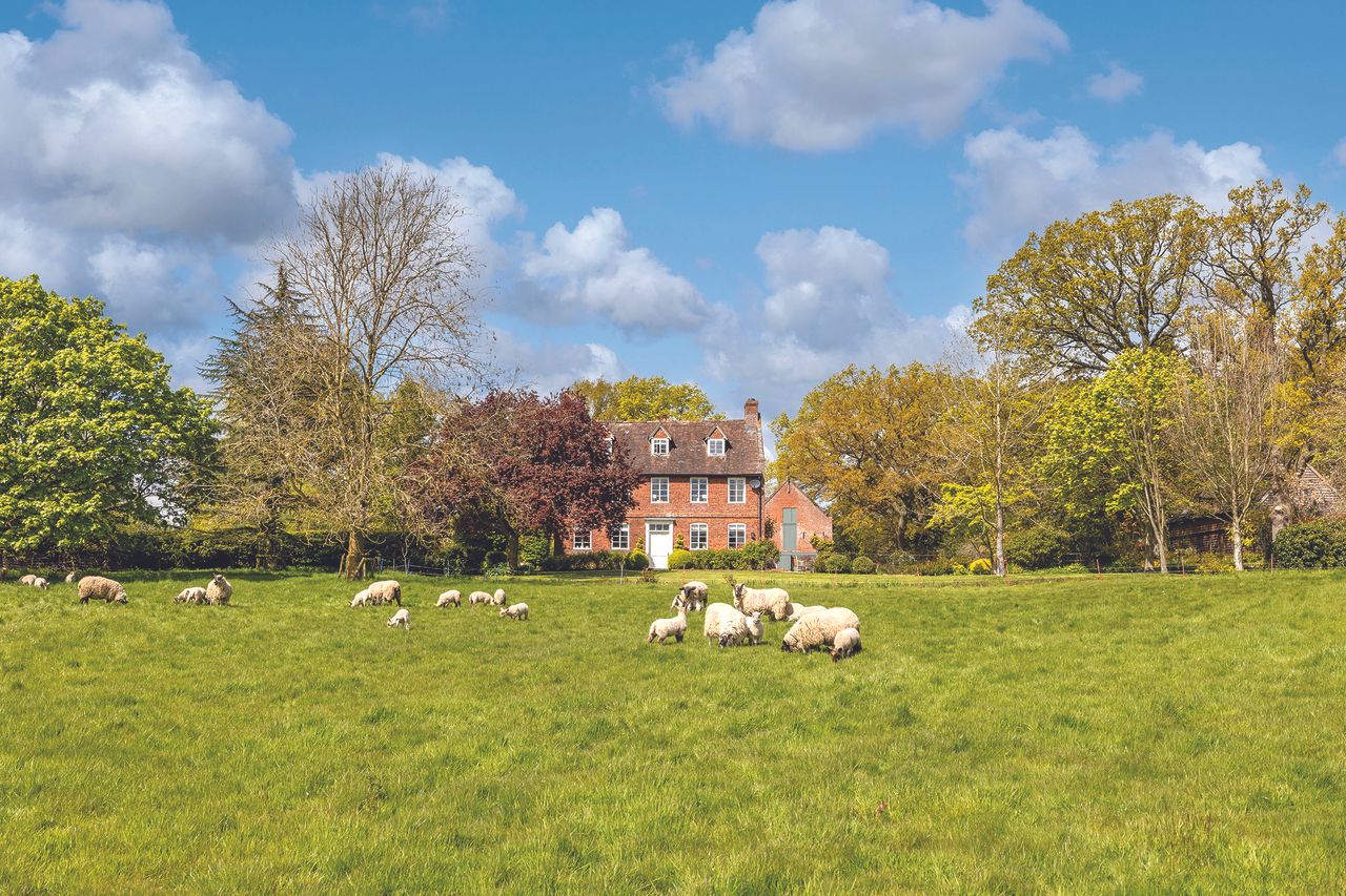 View over fields with sheep of The Tee Farm, Martley, Worcester, Worcestershire.