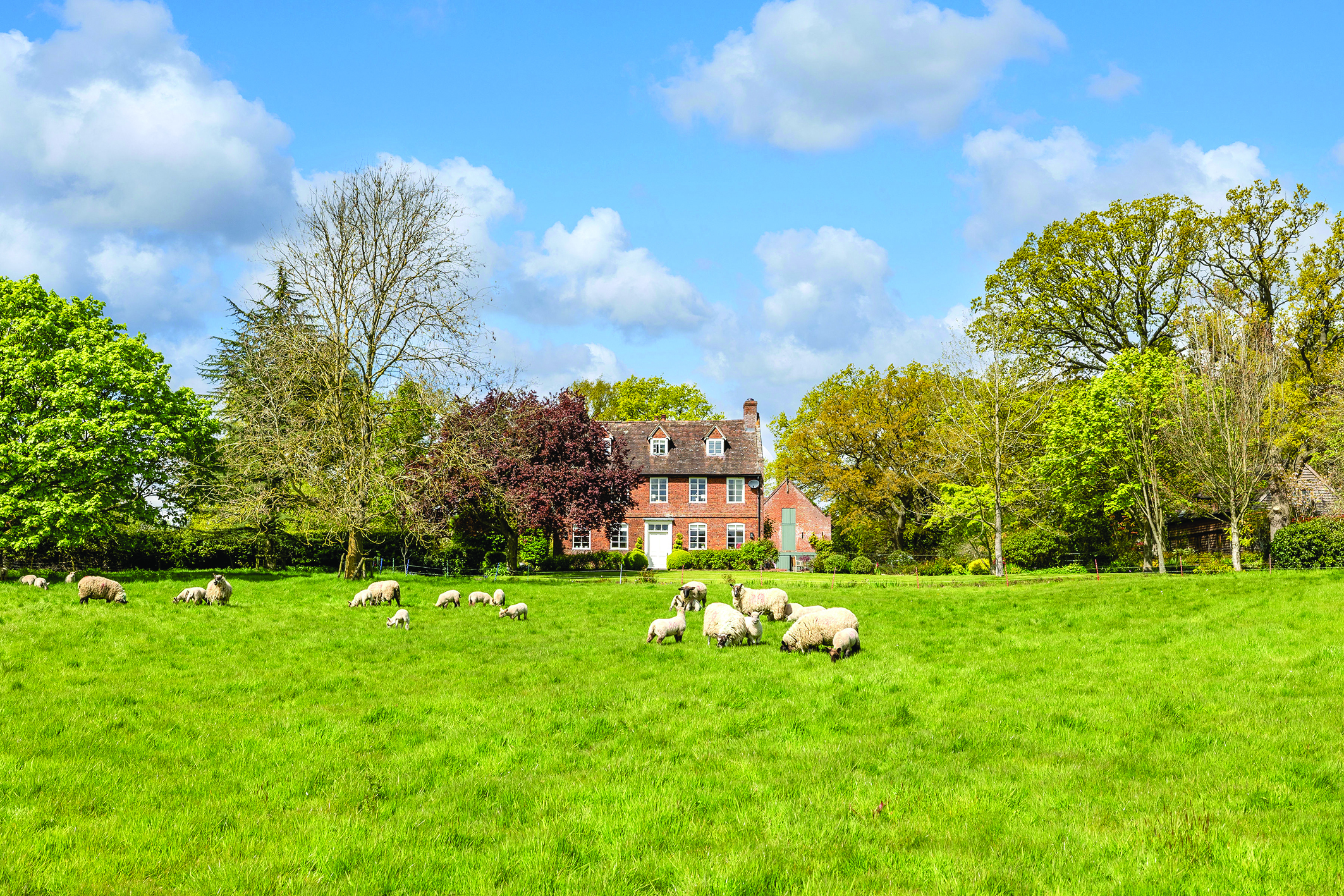 View over fields with sheep of The Tee Farm, Martley, Worcester, Worcestershire.