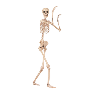 Skeleton decoration