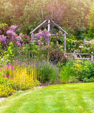 A backyard with a cottage garden flowerbed with purple flowers and tall grass, and a neatly mowed lawn in front of it