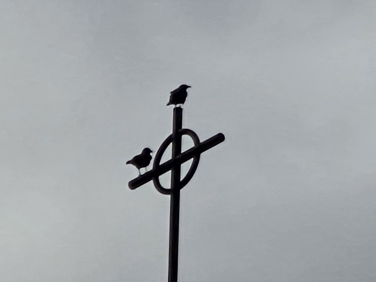 Church steeple by Galaxy s25 Plus