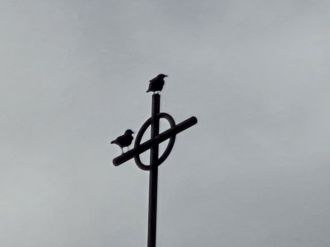 Church steeple by Galaxy s25 Plus