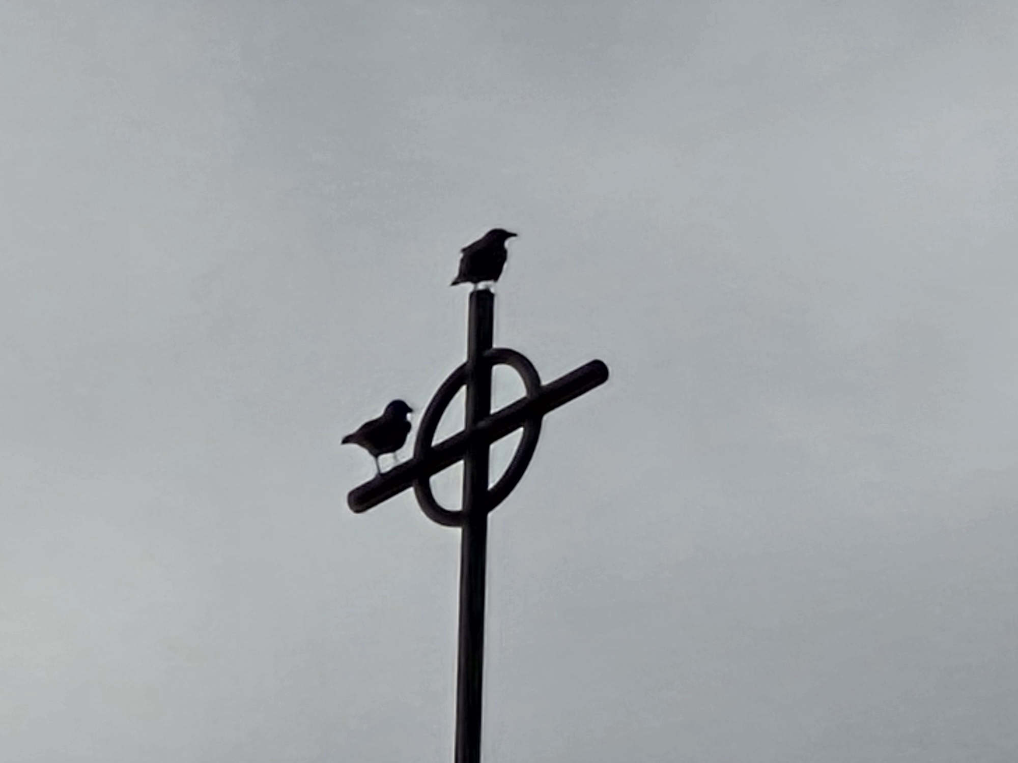 Church steeple by Galaxy s25 Plus