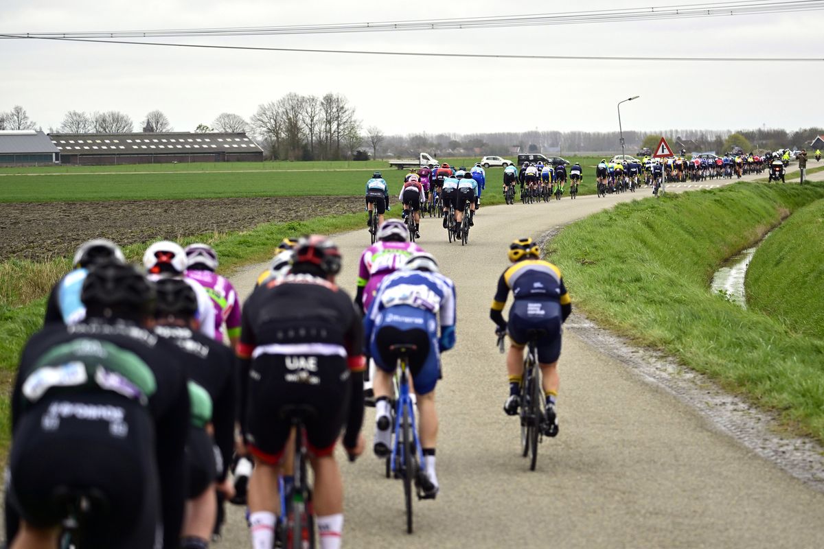 Scheldeprijs blew apart early