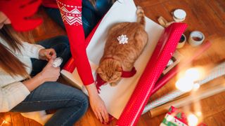 Ginger cat lying on wrapping paper