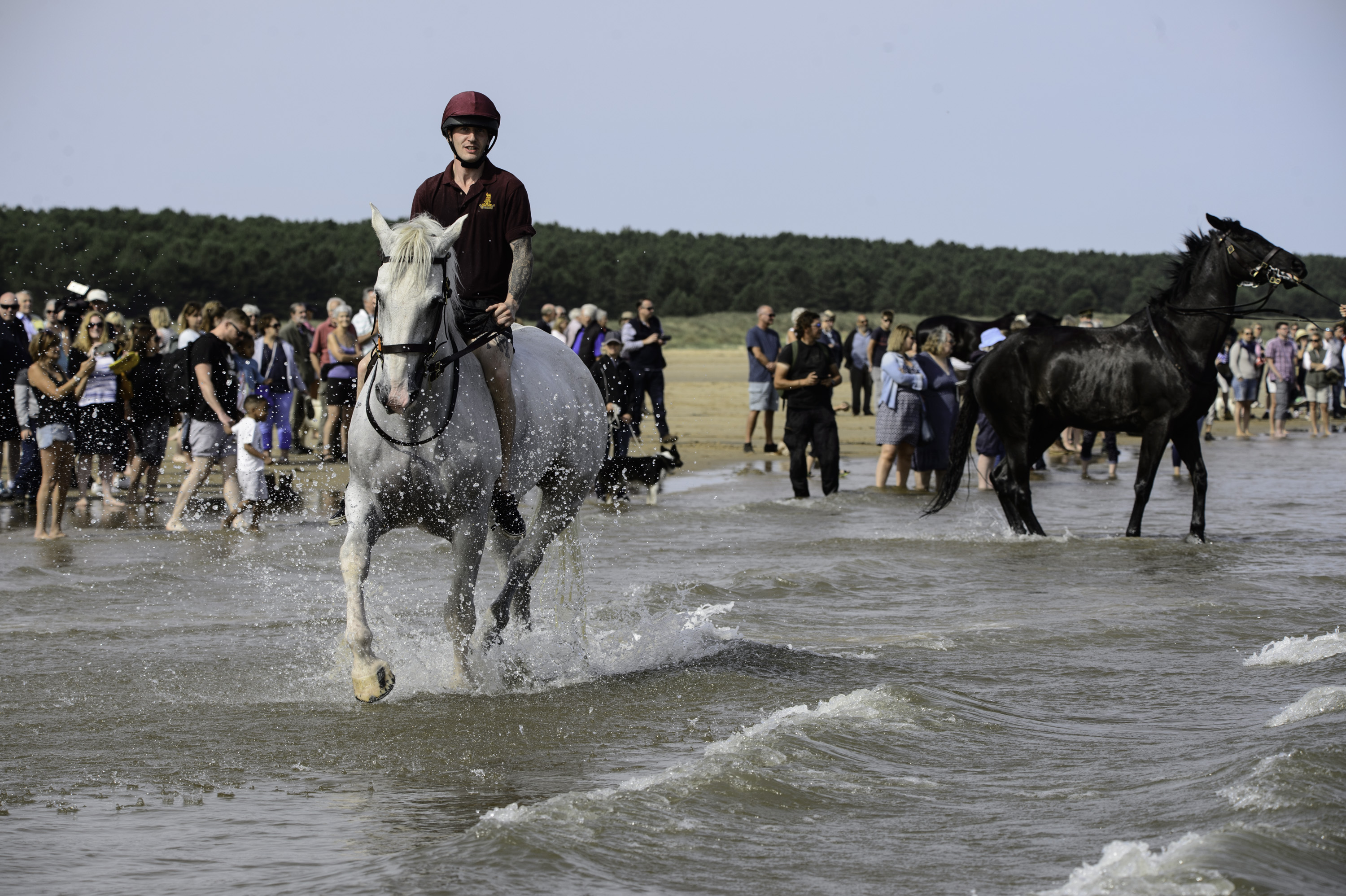 A spectator sport? Crowds ditch their buckets and spades to get a glimpse of the action