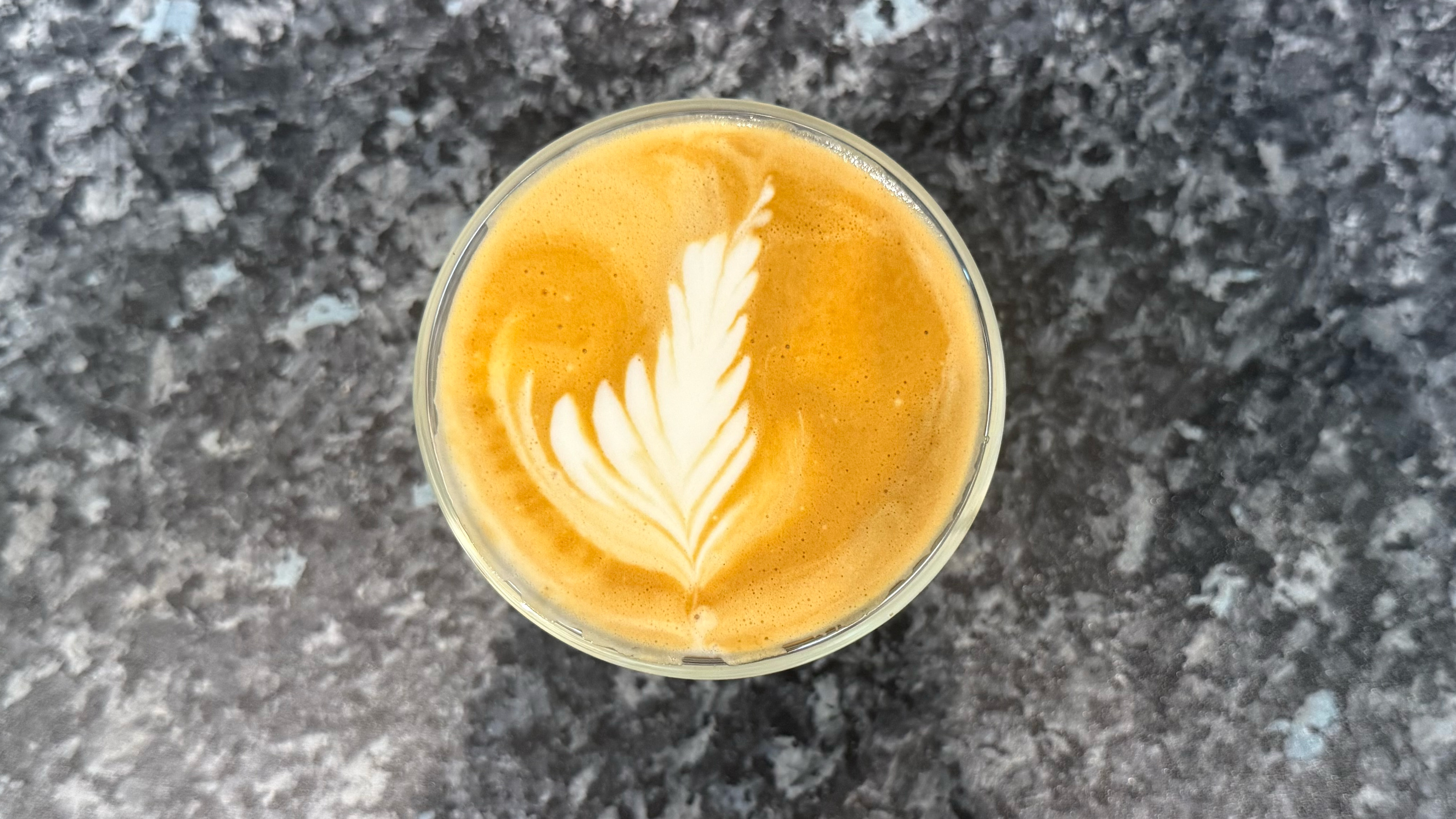 a picture of a latte made on the de'longhi la specialista opera following the author's recipe