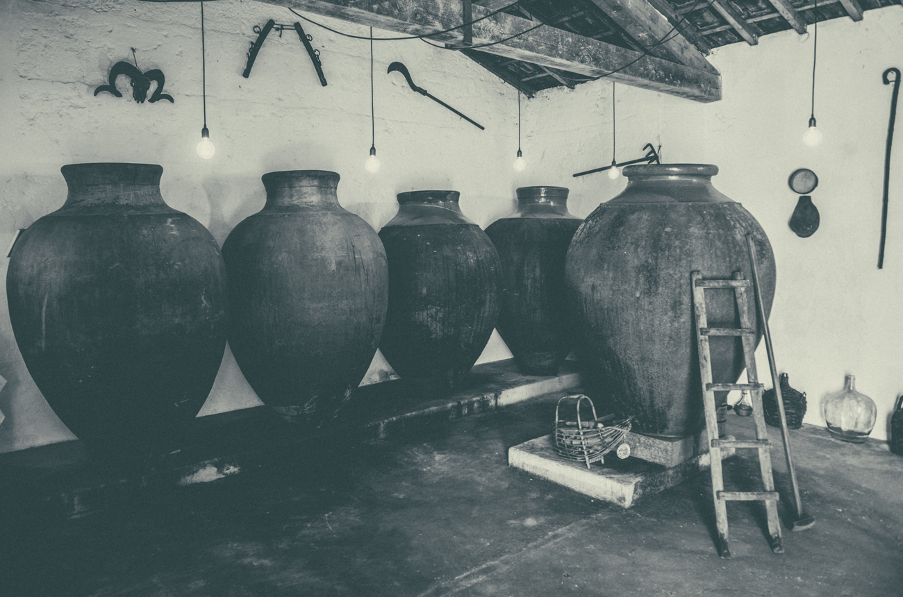 A wine cellar with five large clay amphorae for ageing wines