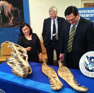 dinosaur fossils being returned to mongolia