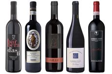 best Barbera d'Asti wines