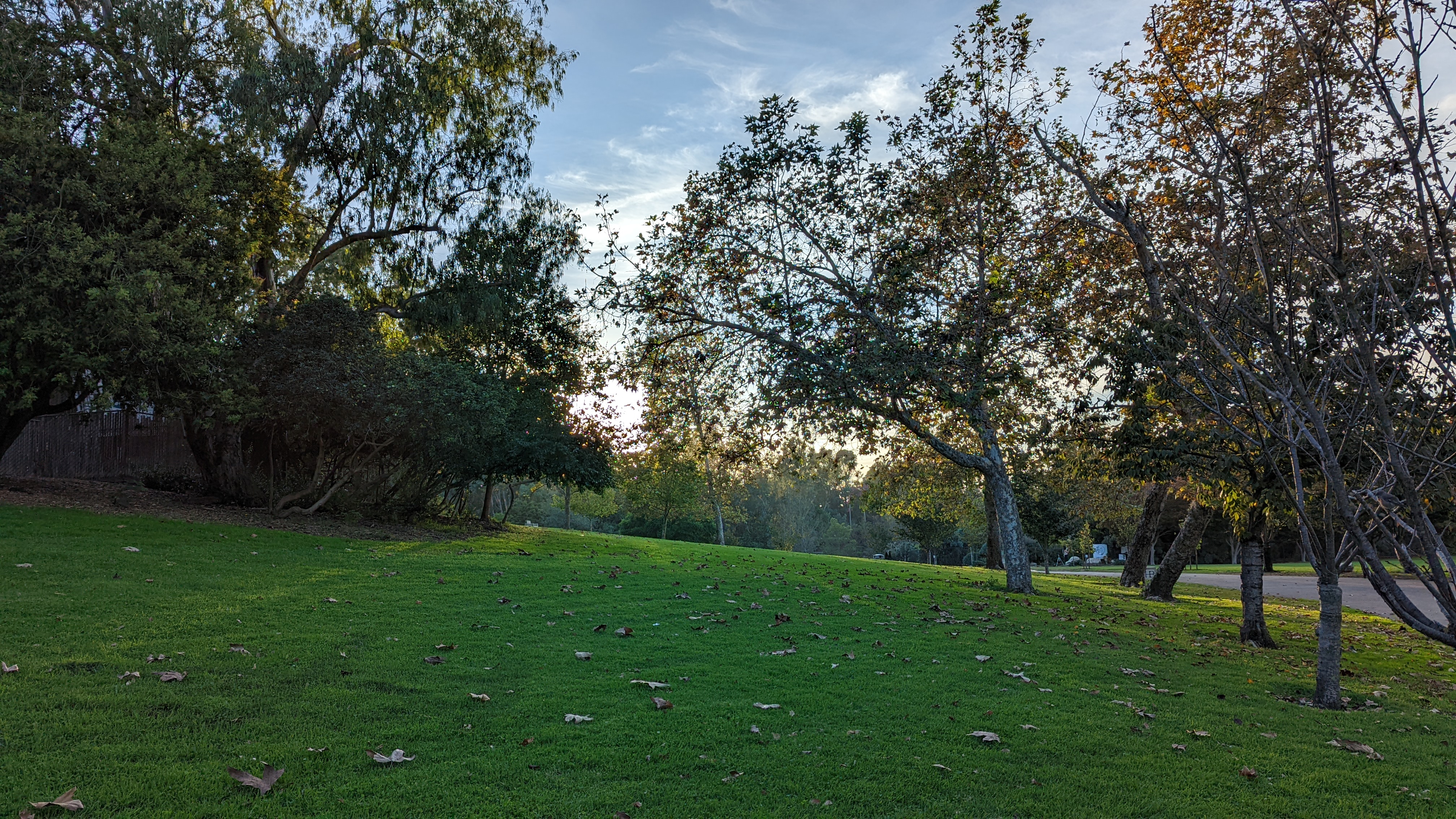 Google Pixel 6 camera samples