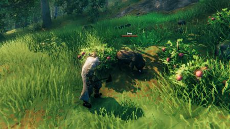 valheim guides