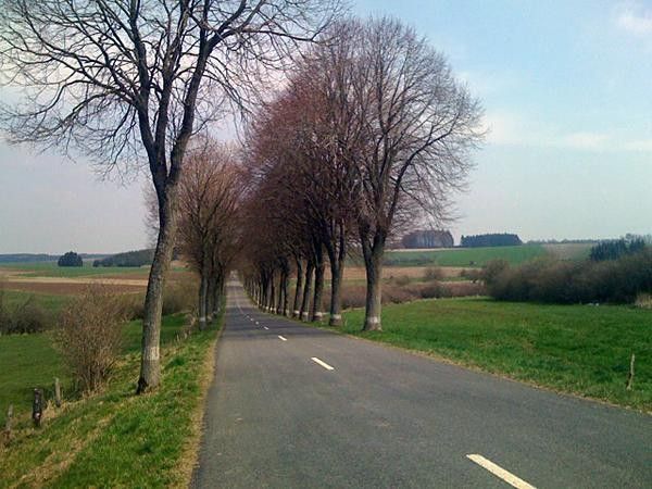 Belgian road training