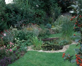 Small curved pool with a paved edging in a suburban garden with pink roses in a border beside the lawn