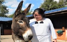 Gillian-Smith-Manchester-DAT-The-Donkey-Sanctuary.jpg