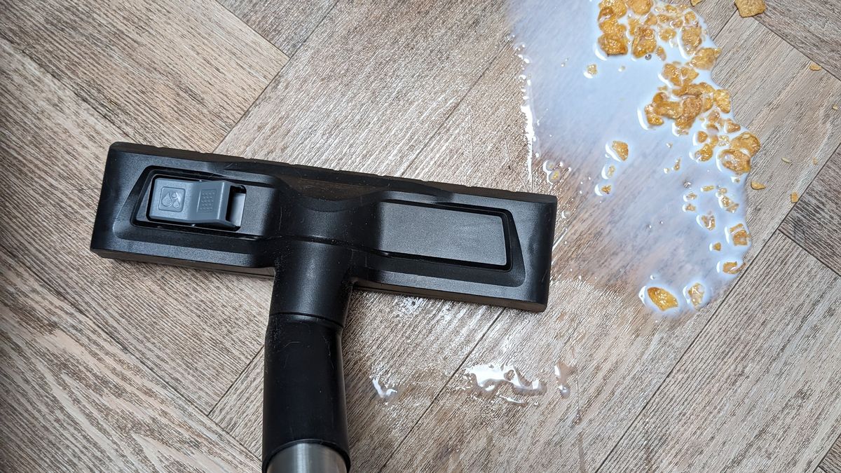 Testing K&auml;rcher Wet and Dry Vacuum Cleaner WD 6 P Premium