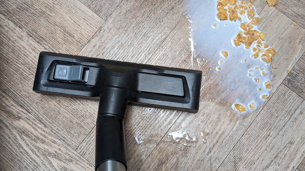 Testing K&auml;rcher Wet and Dry Vacuum Cleaner WD 6 P Premium