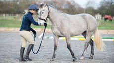 Woman backing a horse up from the ground