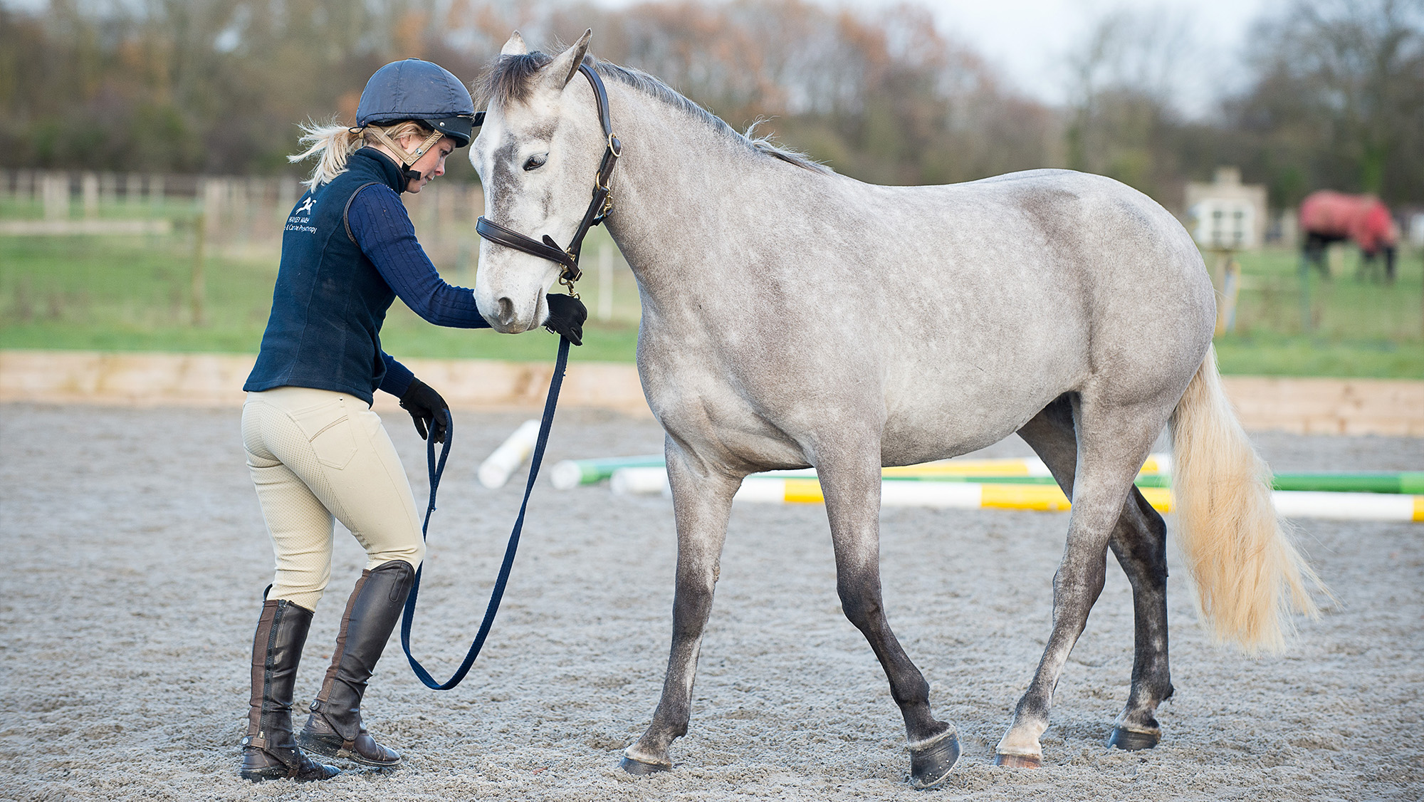 Woman backing a horse up from the ground