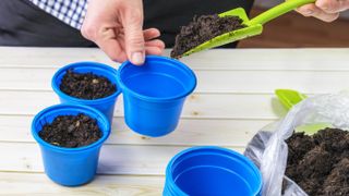 Potting soil in containers