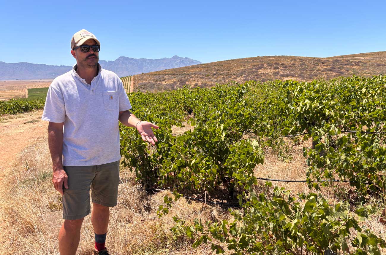 Callie Louw in the Porseleinberg vineyards, Swartland
