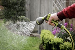 how to aerate your lawn, water it afterwards