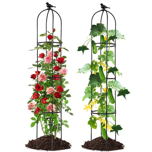 Lalahoni Garden Obelisk Trellis for Climbing Plants Outdoor, 6ft Round Rose Trellis for Pots, Metal Plant Support for Clematis, Jasmine, Ivy, Decorative Outdoor Trellis, Black, 2pack