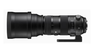 Sigma 150-600mm f/5-6.3 DG OS HSM | S