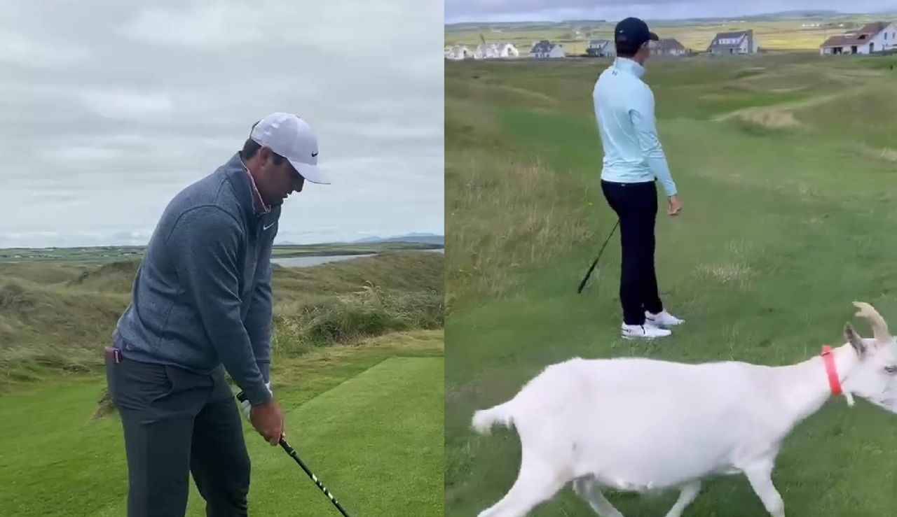 Scheffler hits a tee shot, Spieth hits a shot with a goat behind him