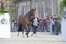 Lauren Shannon (GBR) riding Zero Flight at the first vet check of The Mitsubishi Motors Badminton Horse Trials