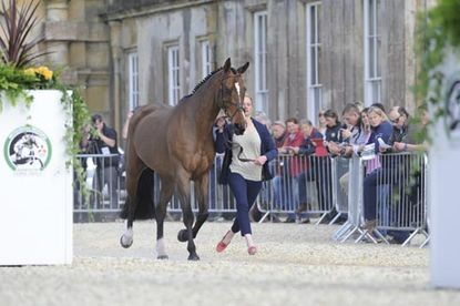 Lauren Shannon (GBR) riding Zero Flight at the first vet check of The Mitsubishi Motors Badminton Horse Trials