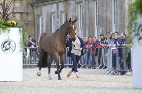 Lauren Shannon (GBR) riding Zero Flight at the first vet check of The Mitsubishi Motors Badminton Horse Trials