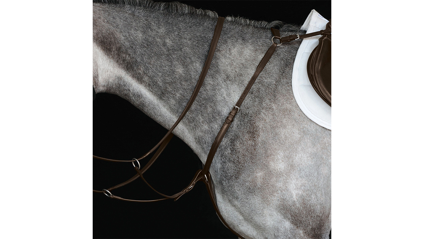 Collegiate Hunter Breastplate IV