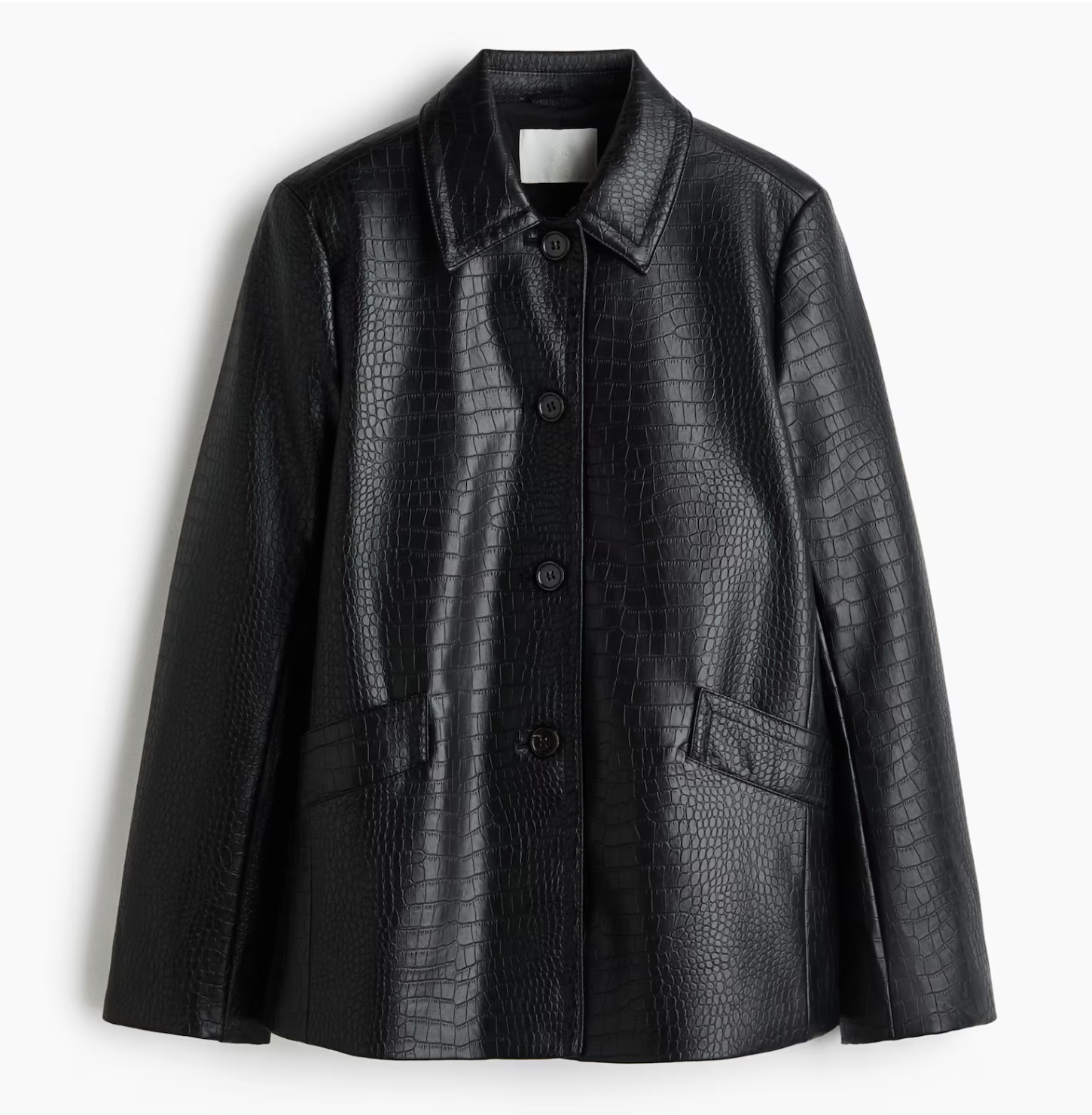 H&amp;amp;M , Coated Jacket