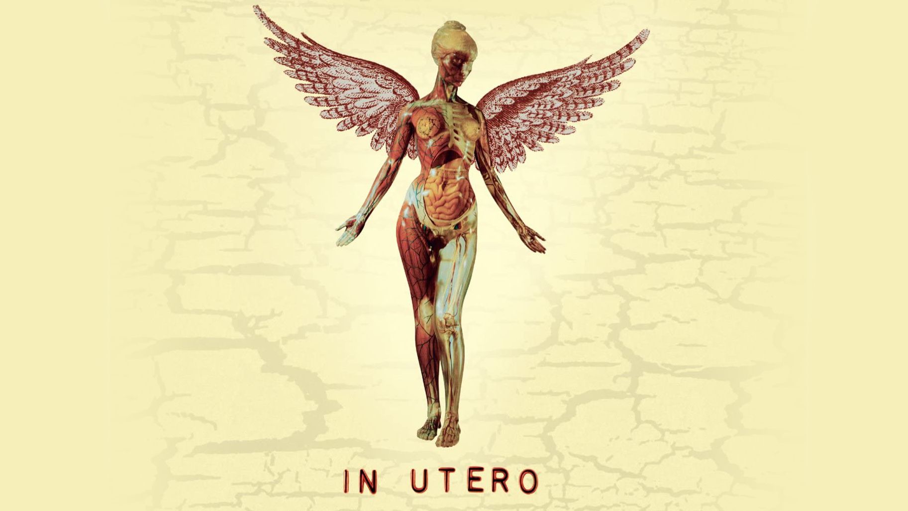 In utero перевод