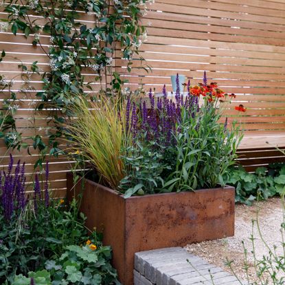 fence and corten steel container with plants