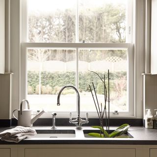 Kitchen sink in front of a bright window with an orchid in the sink