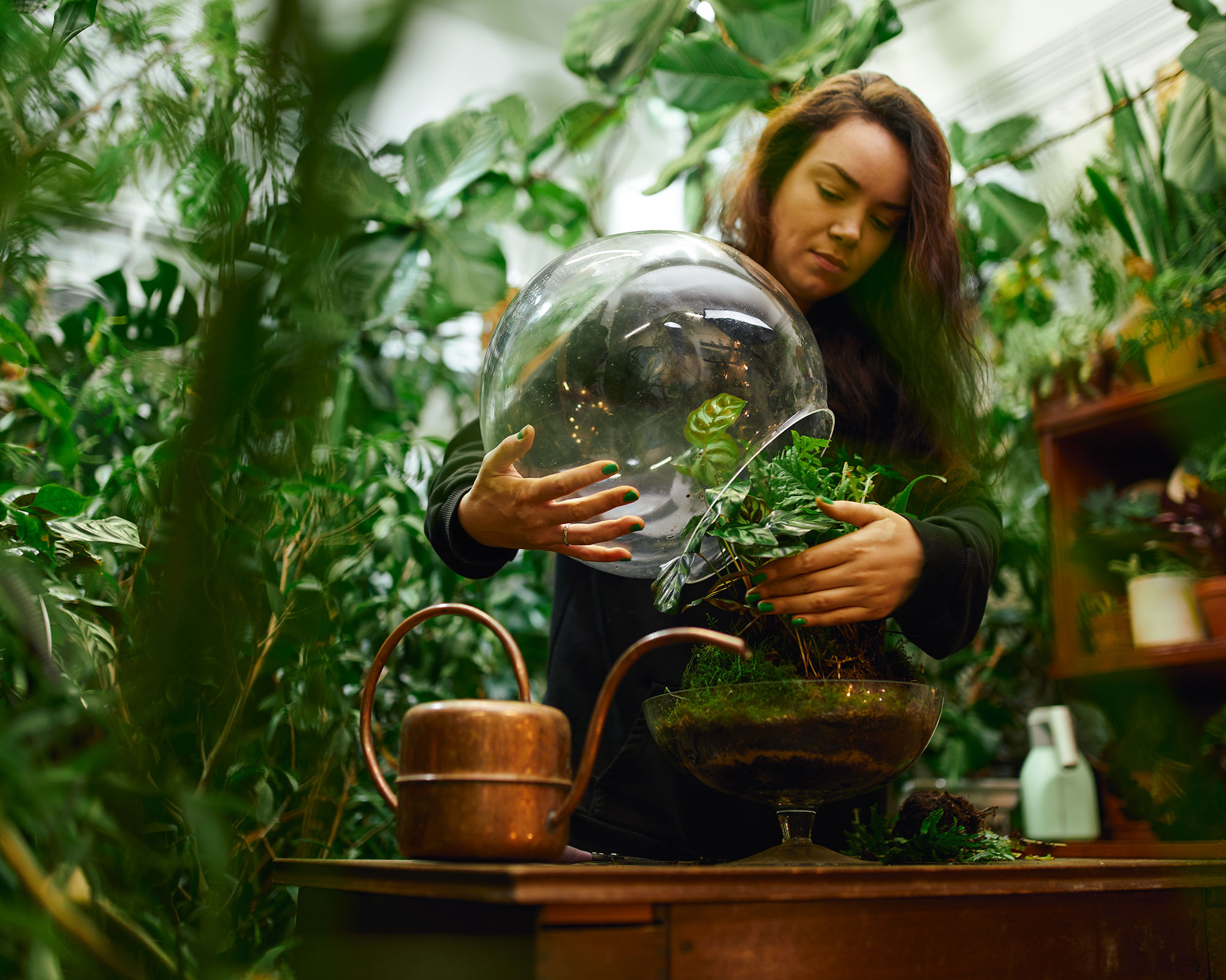 Terrarium care 5 mistakes to avoid to keep yours healthy Gardeningetc